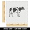 Farm Dairy Cow Milk Side Wall Cookie DIY Craft Reusable Stencil